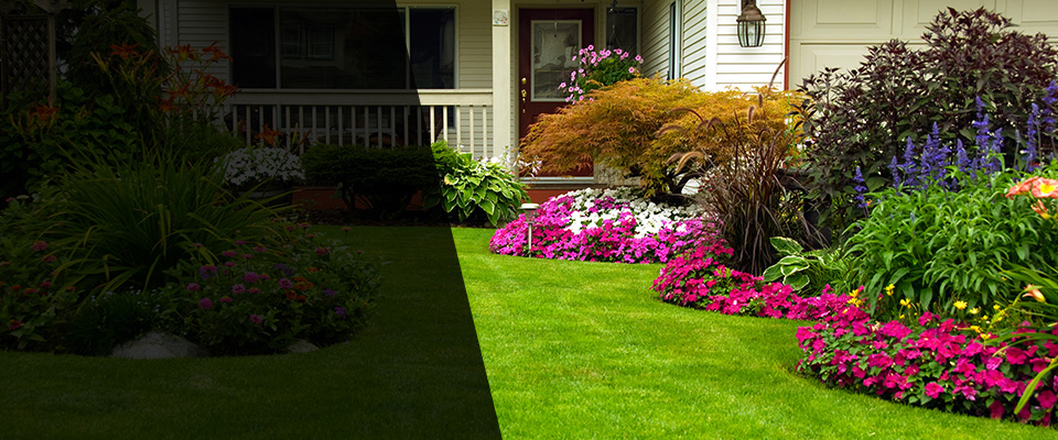 Clovis Landscapers
