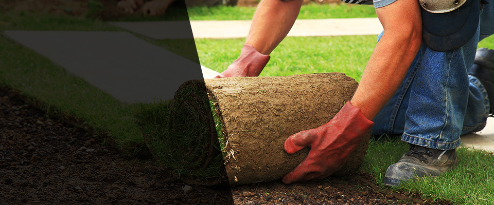 Clovis Landscapers